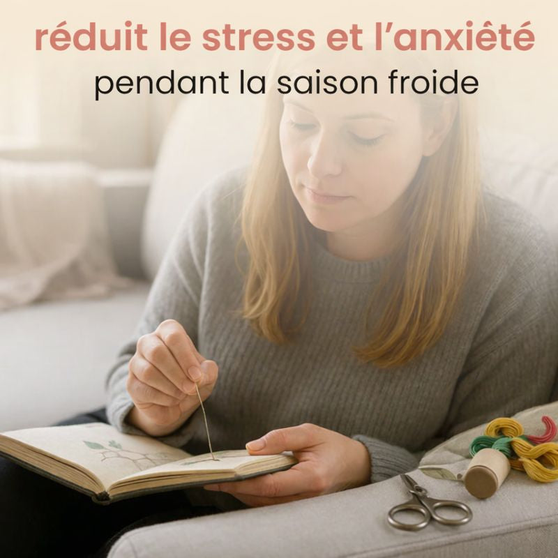 livre de points de broderie